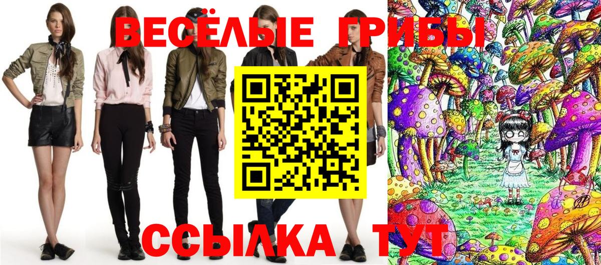 Пушкино  Галлюциногенные грибы Cubensis  Псилоцибиновые грибы прущие грибы  Вход с VPN 