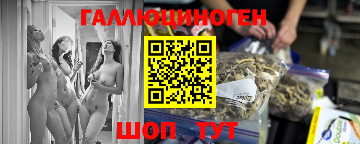 Псилоцибиновые грибы GOLDEN TEACHER Пушкино