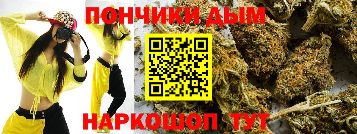 Шишки марихуана Amnesia  Вход с VPN  Шишки марихуана Bruce Banner  Канабис тримм  Пушкино 